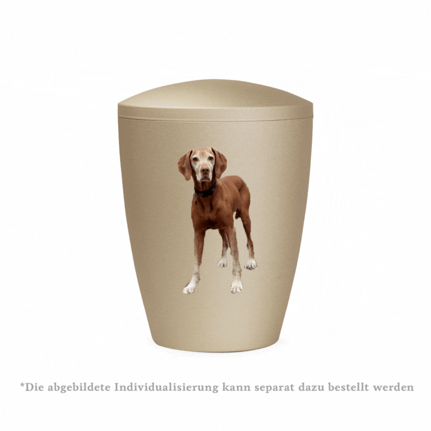 super günstige Tierurne für Hund und Katze