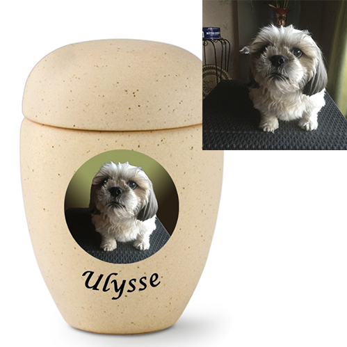 Tierurne,Tierurnen,Tierurne günstig kaufen, Urne für Hund, Urne für Katze,Tierurne,Bestatter,Tierurnen mit Namen, Tierurnen mit Foto,Tierurne für Hund, Tierurne für Katze