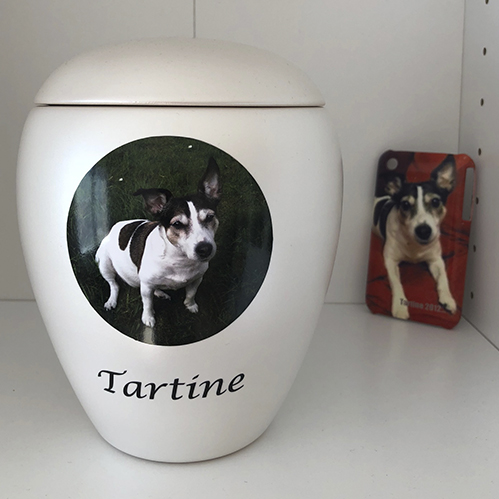 Tierurne,Tierurnen,Tierurne günstig kaufen, Urne für Hund, Urne für Katze,Tierurne,Tierbestatter,Tierurnen mit Namen, Tierurnen mit Foto,Tierurne für Hund, Tierurne für Katze