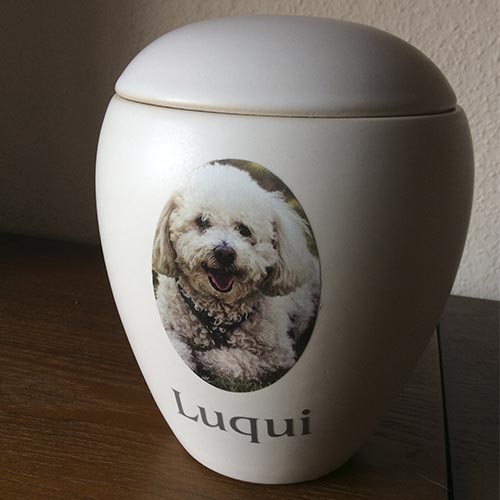 Tierurne,Tierurnen,Tierurne für Zuhause,Tierurne günstig kaufen, Urne für Hunde, Urne für Hund, Urne für Katze,Tierurne,Tierbestatter,Tierurnen mit Namen, Tierurnen mit Foto,Tierurne für Hund, Tierurne für Katze mit Namen und Foto