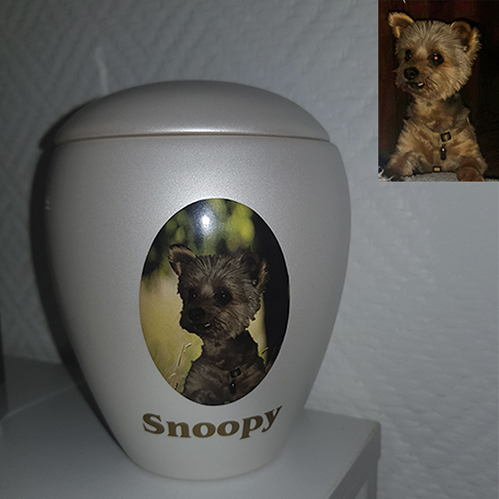 Tierurne,Tierurnen,Tierurne für Zuhause,günstig kaufen, Urne für Hunde mit Fotomontage, Urne für Hund, Urne für Katze,Tierurne,Tierbestatter,Tierurnen mit Namen, Tierurnen mit Foto,Tierurne für Hund, Tierurne für Katze