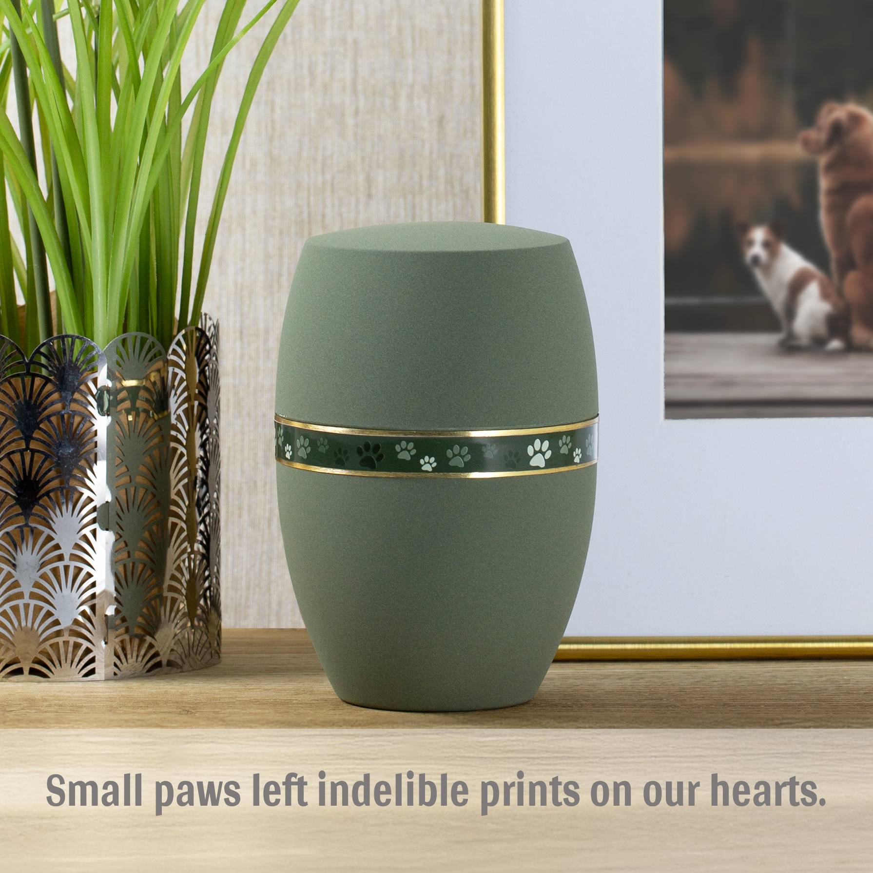 Urn animal with little paws