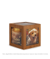 Preview: High-quality Memori Cube 907M in walnut finish. The velvety matte surface of the real wood encloses five windows for pet photos, making the urn a unique piece of remembrance.