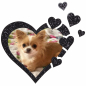 Preview: Edition "Star" photo motifs for your pet urn
