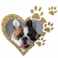 Preview: Edition "Star" photo motifs for your pet urn