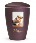 Preview: Transfer picture on urn rectangular or square