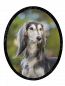 Preview: Edition "Star" photo motifs for your pet urn