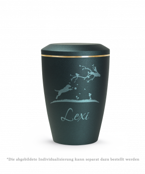 Laser engraving motifs
