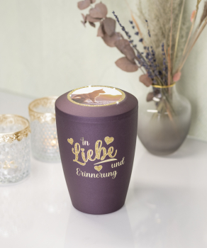 Edition "Star" Motifs Premium for your pet urn