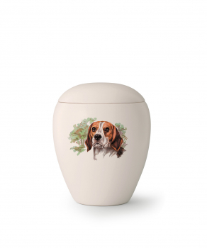 Tierurne Edition Bianco   Rasse: Beagle