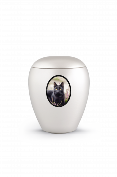 Edition "Star" photo motifs for your pet urn