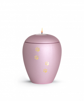 Pet Urn Verona ColourRosé with 4 Brushed Pawsight Lid