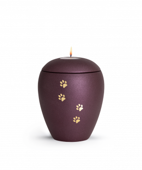 Tierurne in Berry 4 Pfoten mit Teelichtdeckel