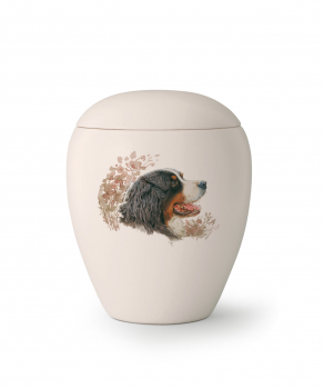 Tierurne Edition Bianco   Rasse: Berner Sennenhund