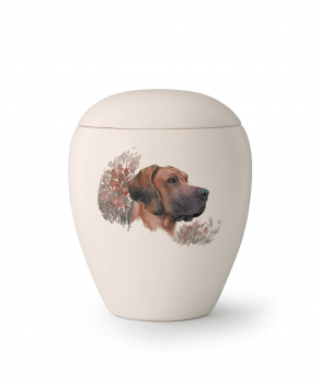 Tierurne Edition Bianco   Rasse: Dogge Ridgeback