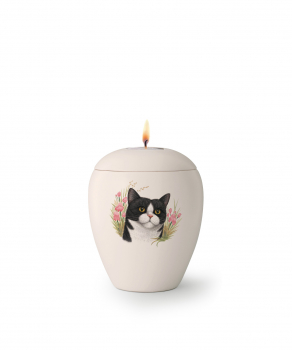 Pet urns Edition Sky   Race: Domino