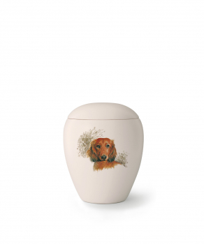 Tierurne Edition Bianco   Rasse: Dackel
