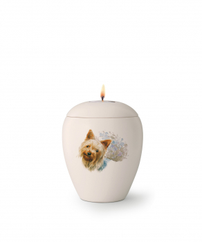 Tierurne  Yorkshire Terrier handbemalt mit Teelichteinsatz