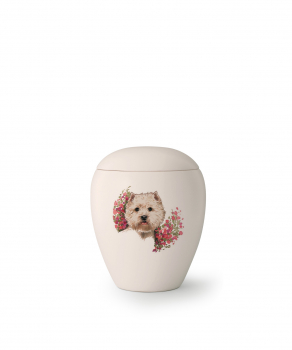 Tierurne Edition Bianco   Rasse: West Highland White Terrier