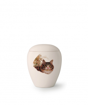 Pet urns Edition Sky   Race: European Shorthair