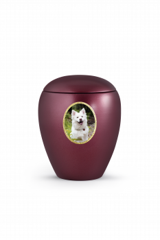 Edition "Star" photo motifs for your pet urn
