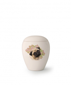 Tierurne Edition Bianco   Rasse: Mops