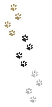 Tierurne personalisiert Glittermotiv Star Pfotenabdrücke Gold