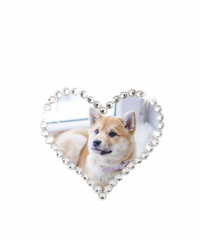 Photo Transfer with Heart of Crystals