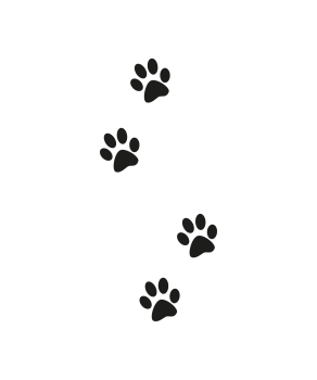 Lasermotiv Pfotenabdrücke 4 Hundeurne Katzenurne