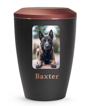 Transfer picture on urn rectangular or square