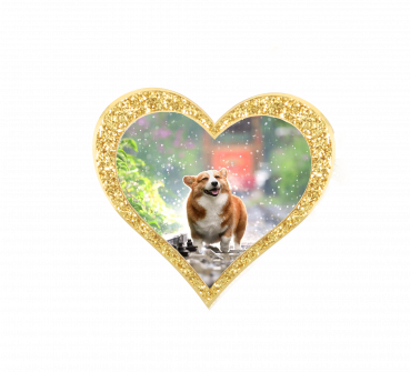 Edition "Star" photo motifs for your pet urn