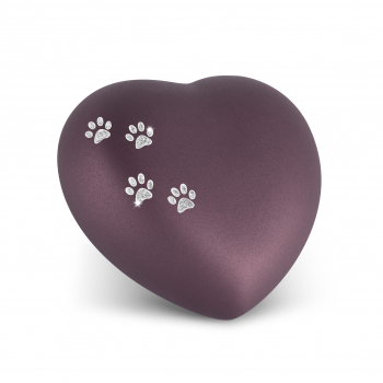 Pet Urn Edition Star 4 Paws Colour: Berry various sizes