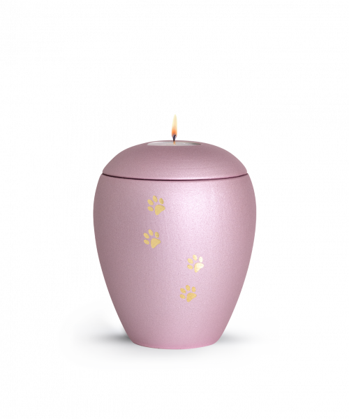 Pet Urn Verona ColourRosé with 4 Brushed Pawsight Lid