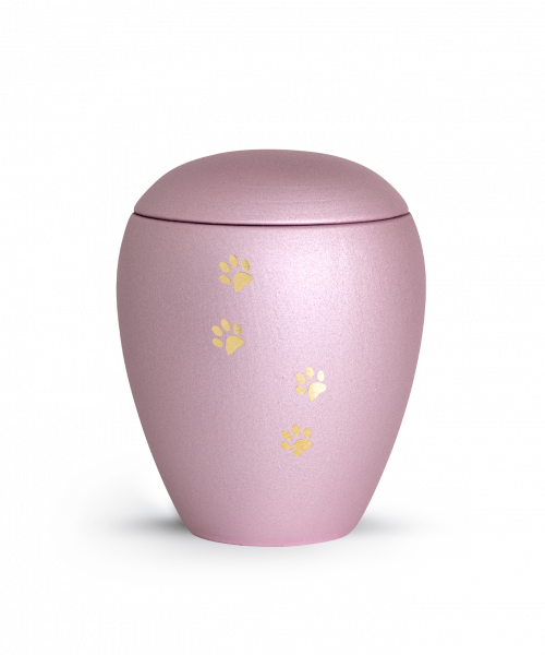 Pet Urn Verona Colour Rosé with 4 Brushed Pawson Verorna cheap