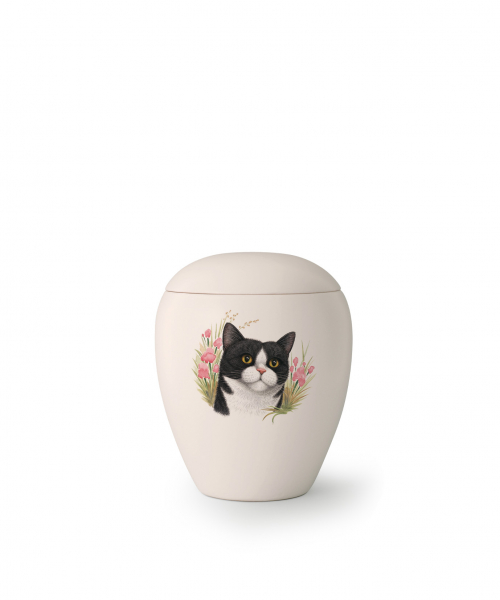 Pet urns Edition Sky   Race: Domino