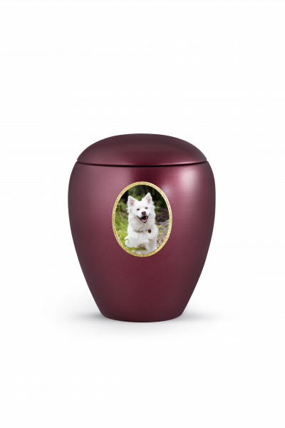 Edition "Star" photo motifs for your pet urn