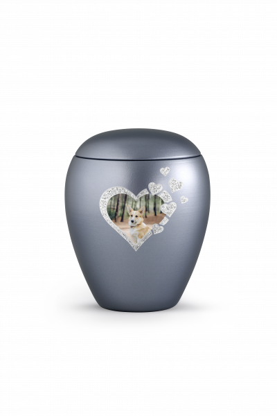 Edition "Star" photo motifs for your pet urn