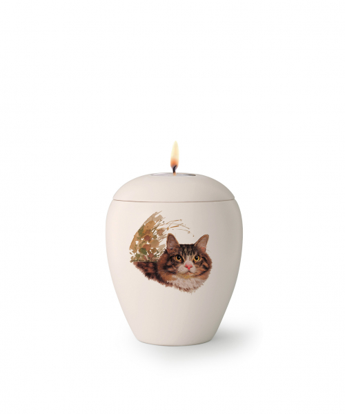 Pet urns Edition Sky   Race: European Shorthair