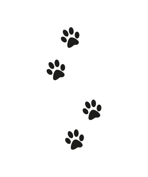 Lasermotiv Pfotenabdrücke 4 Hundeurne Katzenurne
