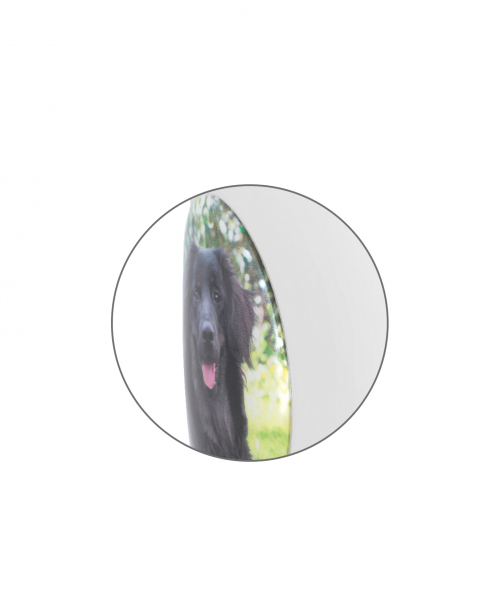 Transfer picture - 3 D photo medallion oval Doming