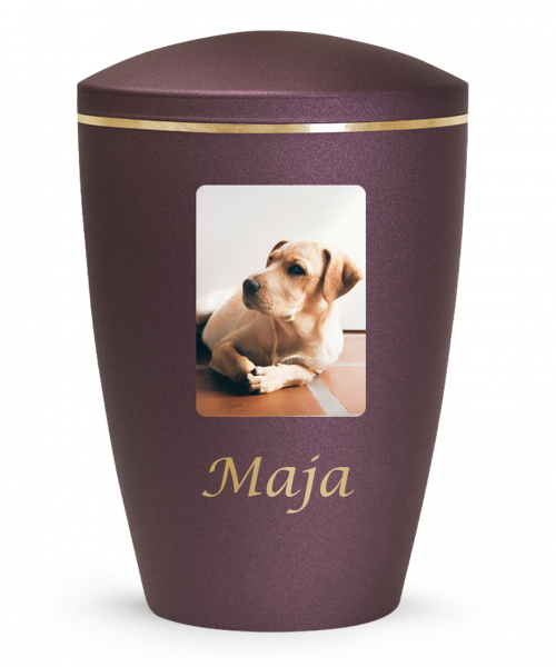 Transfer picture on urn rectangular or square