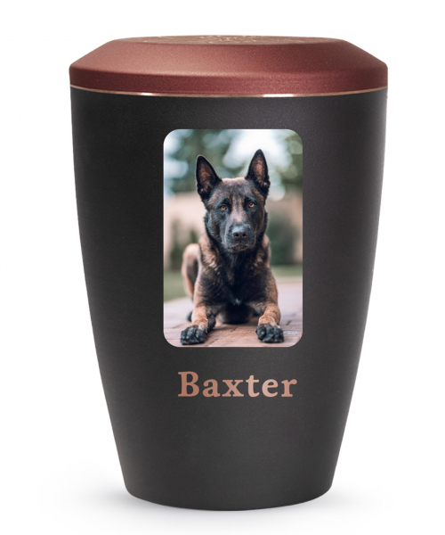 Transfer picture on urn rectangular or square
