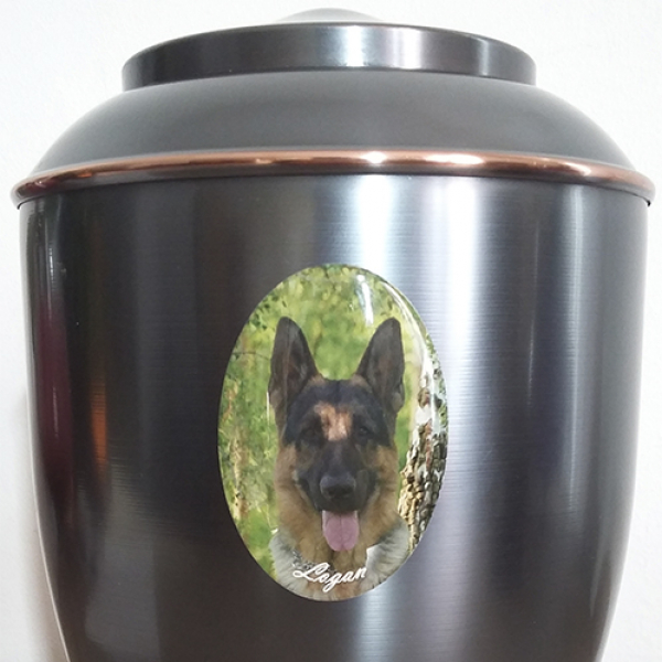 Transfer picture - 3 D photo medallion oval Doming