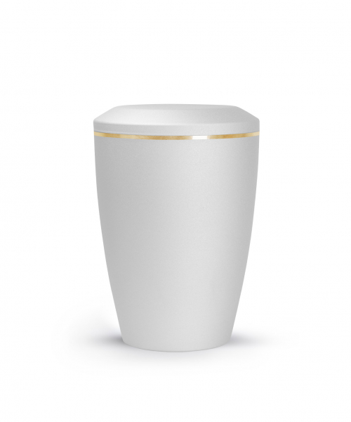 Pet Urn Edition Lina with brushed gold band domed lid