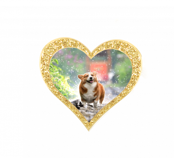 Edition "Star" photo motifs for your pet urn