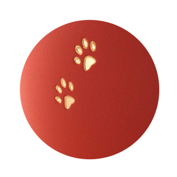 Paw relief detailed view