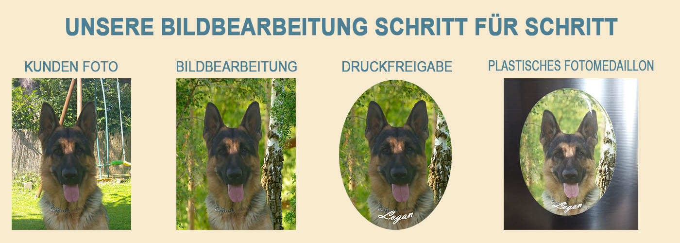 Tierurnen Profi Preisgunstige Individuelle Tierurnen Kaufen
