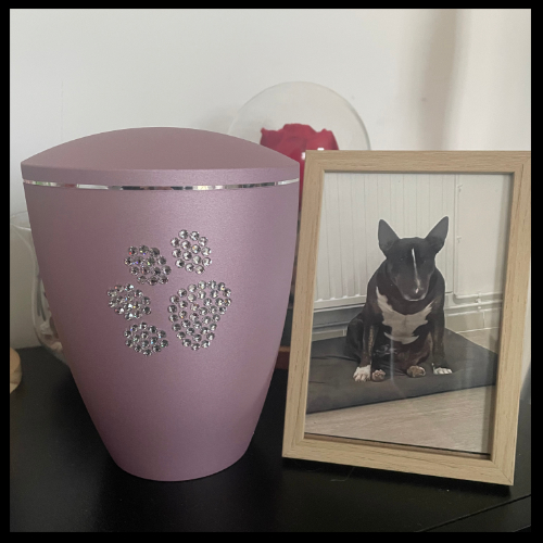 Günstige Haustierurne Katze Hund Jetzt kaufen !